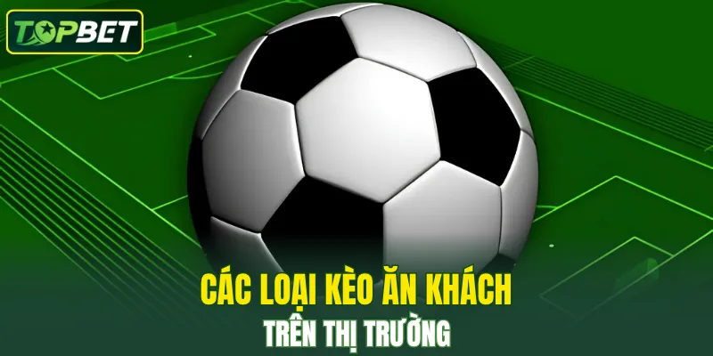 Cac Loai Ty Le Keo Duoc Ua Chuong Nhat