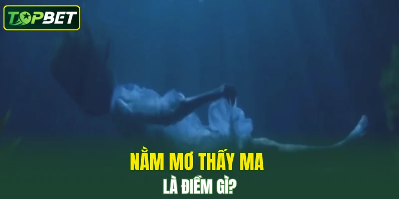Nam Mo Thay Ma La Diem Gi