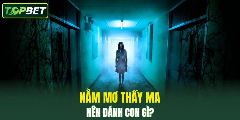 Nam Mo Thay Ma Nen Danh Con Gi