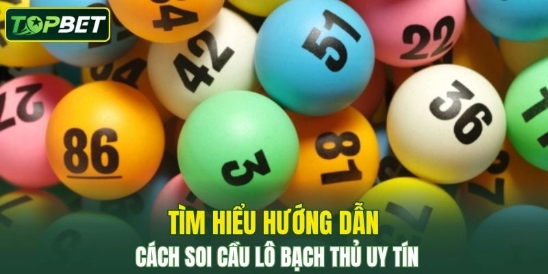 Tim Hieu Huong Dan Cach Soi Cau Lo Bach Thu Uy Tin
