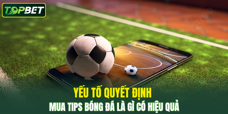 Yeu To Quyet Dinh Mua Tips Bong Da La Gi Co Hieu Qua