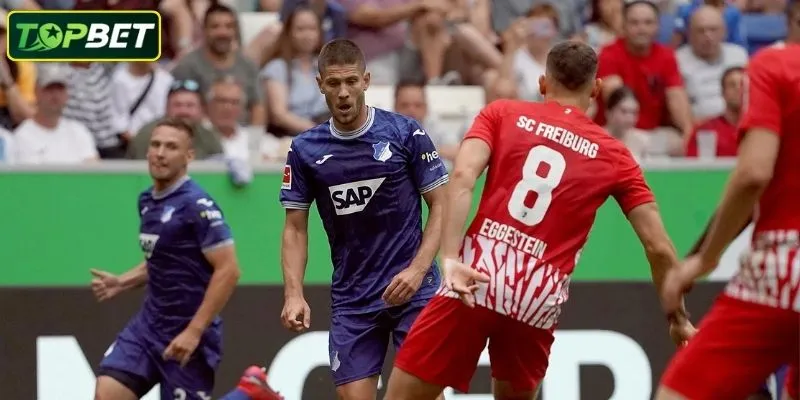 Ty Le Keo Chi Tiet Cho Tran Dau Sgv Freiberg Vs Tsg Hoffenheim