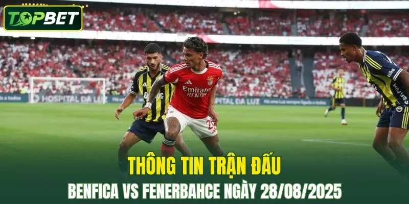 Thong Tin Tran Dau Benfica Vs Fenerbahce Ngay 28 08 2025