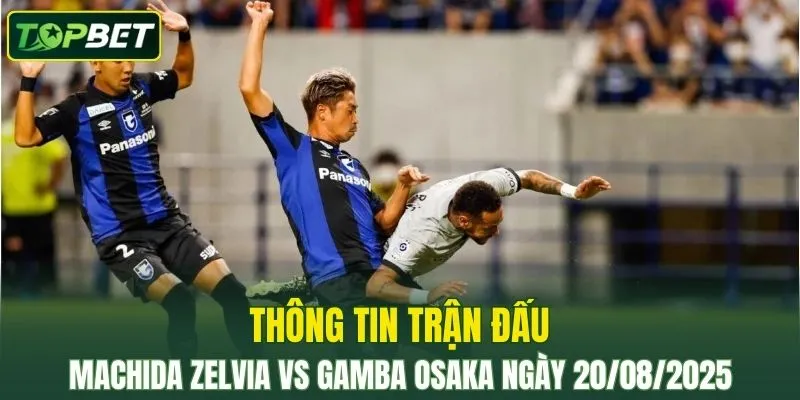 Thong Tin Tran Dau Machida Zelvia Vs Gamba Osaka Ngay 20082025