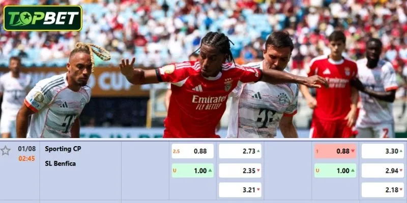 Ty Le Keo Chi Tiet Cho Tran Dau Sporting Cp Vs Sl Benfica 