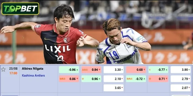 Ty Le Keo Chi Tiet Cho Tran Dau Albirex Niigata Vs Kashima Antlers 