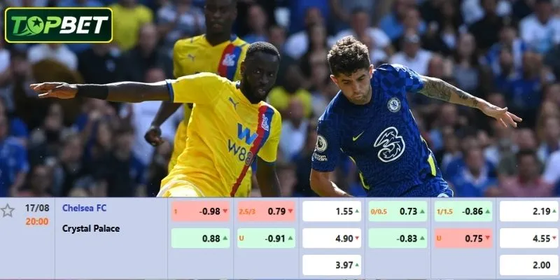 Ty Le Keo Chi Tiet Cho Tran Dau Chelsea Vs Crystal Palace