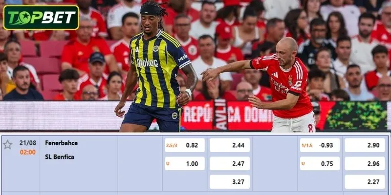 Ty Le Keo Chi Tiet Cho Tran Dau Fenerbahce Vs Benfica