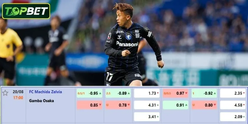 Ty Le Keo Chi Tiet Cho Tran Dau Machida Zelvia Vs Gamba Osaka