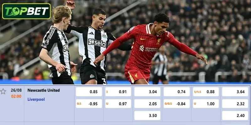 Ty Le Keo Chi Tiet Cho Tran Dau Newcastle United Vs Liverpool