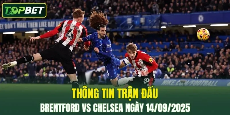 Thong Tin Tran Dau Brentford Vs Chelsea Ngay 14/09/2025