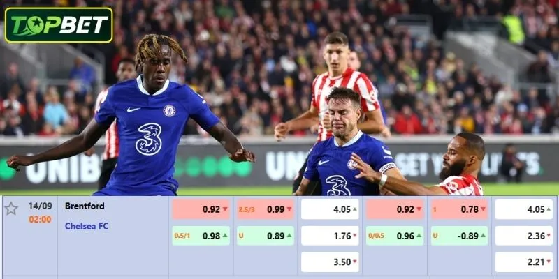 Ty Le Keo Chi Tiet Cho Tran Dau Brentford Vs Chelsea