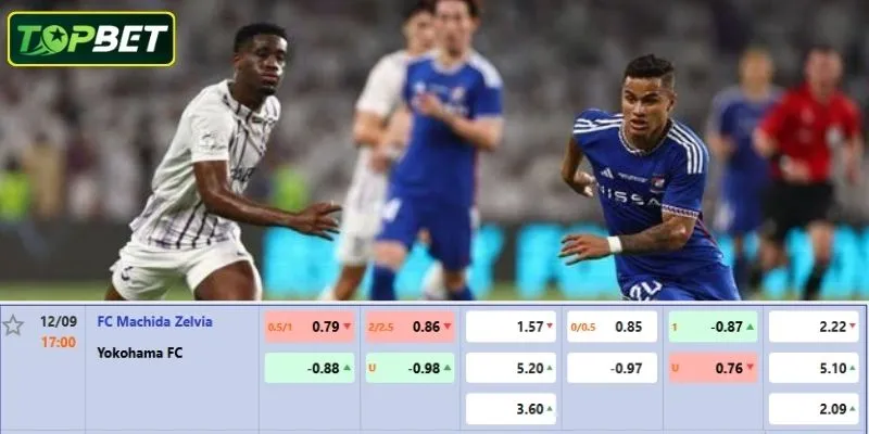 Ty Le Keo Chi Tiet Cho Tran Dau Fc Machida Zelvia Vs Yokohama Fc