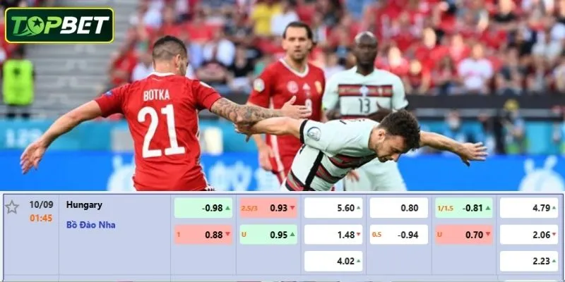 Ty Le Keo Chi Tiet Cho Tran Dau Hungary Vs Bo Dao Nha 