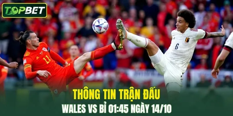 Thong Tin Tran Dau Wales Vs Bi Ngay 14 10 2025