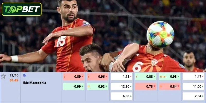 Ty Le Keo Chi Tiet Cho Tran Dau Bi Vs Bac Macedonia