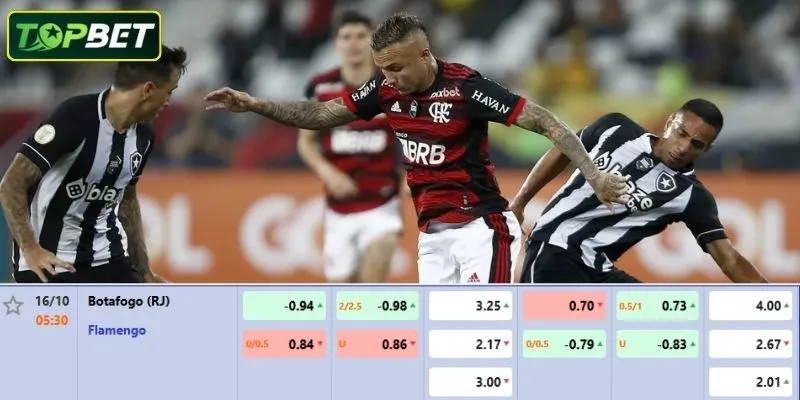 Ty Le Keo Chi Tiet Cho Tran Dau Botafogo Fr Vs Flamengo