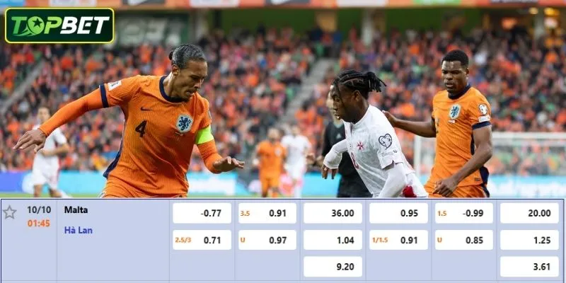 Ty Le Keo Chi Tiet Cho Tran Dau Malta Vs Ha Lan