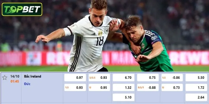 Ty Le Keo Chi Tiet Cho Tran Dau Northern Ireland Vs Duc