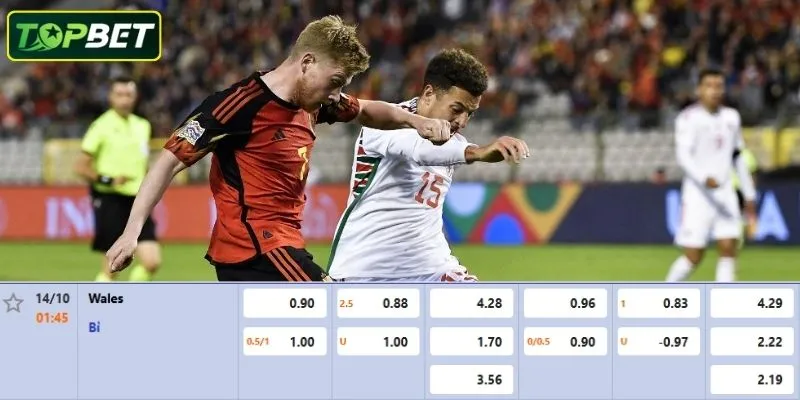 Ty Le Keo Chi Tiet Cho Tran Dau Wales Vs Bi