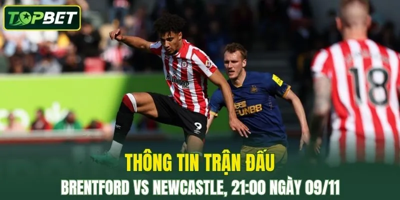 Thong Tin Tran Dau Brentford Vs Newcastle Ngay 09 11 2025