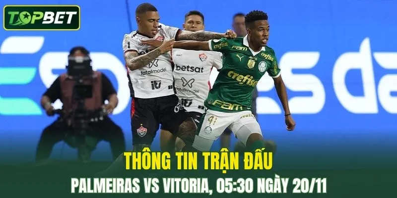 Thong Tin Tran Dau Palmeiras Vs Vitoria Ngay 20 11 2025