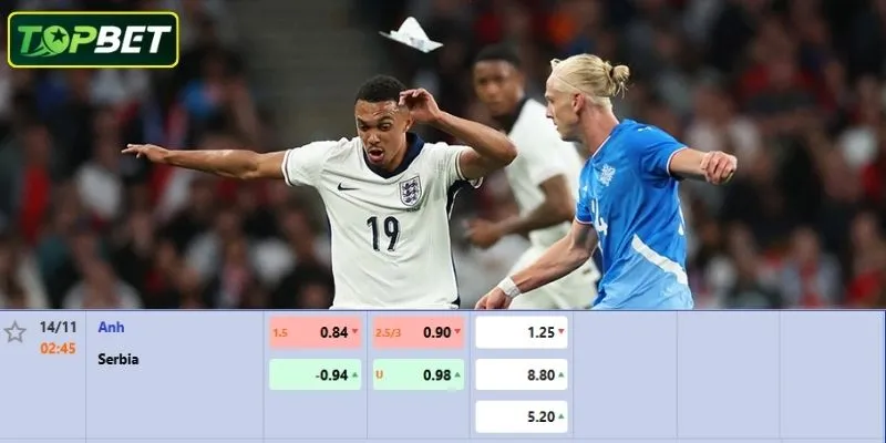 Ty Le Keo Chi Tiet Cho Tran Dau Anh Vs Serbia