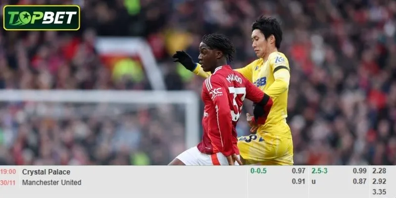 Ty Le Keo Chi Tiet Cho Tran Dau Crystal Palace Vs Man United