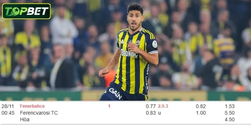 Ty Le Keo Chi Tiet Cho Tran Dau Fenerbahce Vs Ferencvaros