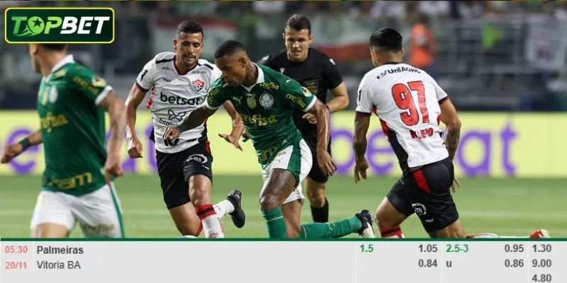 Ty Le Keo Chi Tiet Cho Tran Dau Palmeiras Vs Vitoria