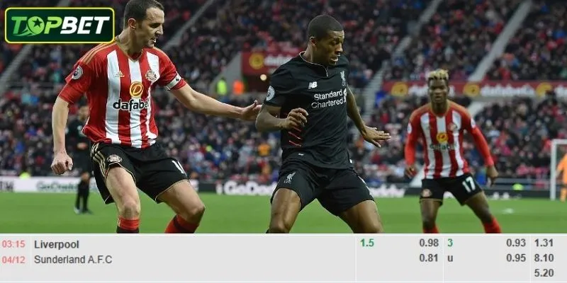 Ty Le Keo Chi Tiet Cho Tran Dau Liverpool Vs Sunderland